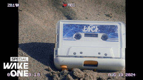 The Sea (ZB1 Remake)