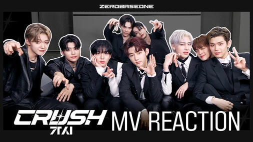 'CRUSH (가시)' MV Reaction
