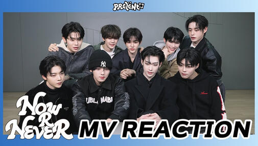 'NOW OR NEVER' MV REACTION